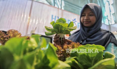 Pengunjung mengamati produk yang dipamerkan pada acara Festival Urban Farming 2024 di Taman Ismail Marzuki (TIM), Jakarta.