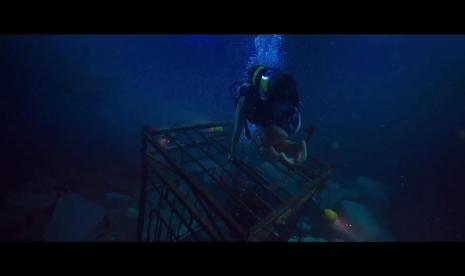 Film 47 Meters Down. 