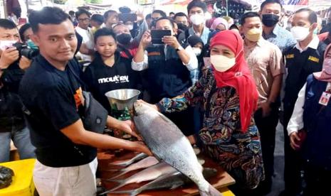 Beli Bandeng Jumbo Seberat 7,5 Kg di Gresik, Khofifah Rogoh Rp5,625 Juta