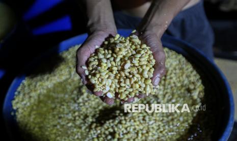 Swasembada Kedelai Dikebut, Amran Ingin Produksi T