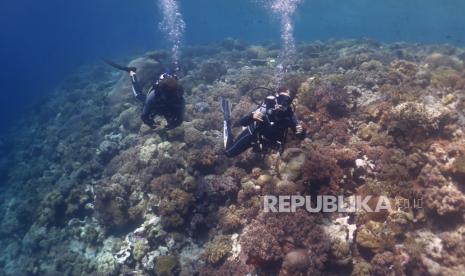 Wisatawan asing didampingi pegiat Wakatobi Dive Trip menyelam di bawah laut spot fan 38 Pulau Tomia, Wakatobi, Sulawesi Tenggara, Kamis (18/5/2023). Menurut Dinas Pariwisata Sulawesi Tenggara kunjungan wisatawan mancanegara ke Wakatobi mulai mengalami peningkatan dalam beberapa bulan terakhir sejak akses transportasi udara kembali di buka.  