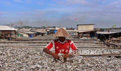 Nelayan mengeringkan ikan di Kampung Nelayan, Jakarta, Senin (3/9/2022). Kementerian Kelautan dan Perikanan (KKP) mengusung sejumlah strategi untuk memastikan sektor perikanan aman dari ancaman resesi global.