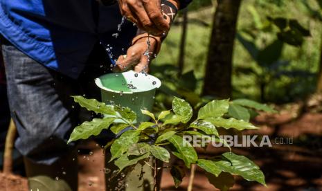 Ilustrasi menanam pohon. Kemenko PMK dan Muhammadiyah Tanam 10 Juta Pohon