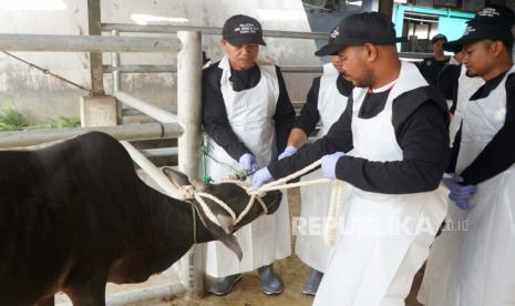 Pelaksanaan bimbingan teknis kepada juru sembelih.