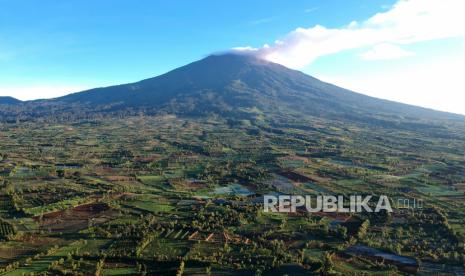 Deforestasi menjadi isu serius yang sedang mencuat di Tanah Air.