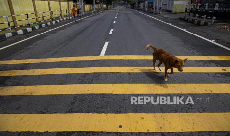 Seekor anjing melewati jalanan yang sepi ketika lockdown di Gauhati, India, Senin (29/6). India telah mencatat hampir 20.000 kasus baru ketika beberapa negara bagian India memberlakukan lockdown sebagian dan penuh untuk membendung penyebaran virus corona.(AP Photo/Anupam Nath)