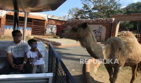 Wisatawan menaiki wahana kereta safari di Jatim Park 2. 