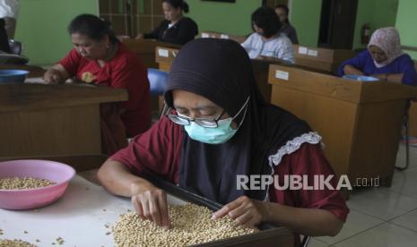 Pekerja menyortir kedelai varietas unggul yang diberi nama Demas 1 di Balai Penelitian Aneka Kacang dan Biji-bijian (Balitkabi) - Kementerian Pertanian di Malang, Jawa Timur, Rabu (3/8/2022). Kementerian Pertanian berupaya menggenjot produksi kedelai lokal dengan mengembangkan varietas unggul yang tahan terhadap perubahan iklim serta menyediakan lahan tanam seluas 650 ribu hektare guna mengurangi ketergantungan terhadap kedelai impor. 