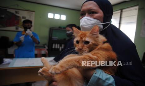 Warga menggendong kucing peliharaannya saat bakti sosial pelayanan kesehatan hewan di kantor Badan Keswadayaan Masyarakat (BKM) Ciomas Rahayu, Kabupaten Bogor, Jawa Barat, Selasa (31/8/2021). Bakti sosial pelayanan kesehatan hewan yang diselenggarakan Dinas Perikanan dan Peternakan Kabupaten Bogor dengan memberikan konsultasi, pengobatan dan vaksinasi rabies gratis tersebut bertujuan untuk menjaga kesehatan dan perlindungan bagi hewan peliharaan serta pemiliknya dari bahaya penyakit rabies. 