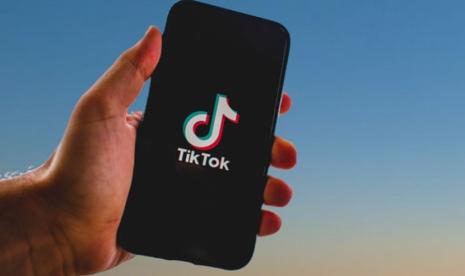 SaveFrom Tiktok: Aman Digunakan?