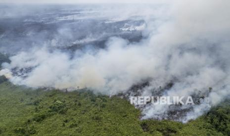 Foto udara api membakar lahan di Desa Rantau Panjang, Muaro Jambi, Jambi, Senin (2/9/2024). 