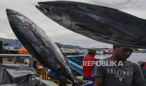 Nelayan melakukan bongkar muat hasil tangkapan laut di Pelabuhan Tulehu, Ambon, Maluku, (ilustrasi). Hilirisasi dinilai dapat menekan angka kemiskinan di perdesaan. (ilustrasi)