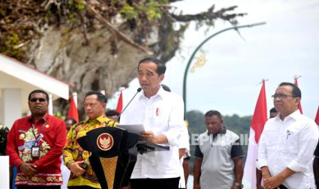 Repnas: Program Food Estate Besutan Jokowi Lebih Lengkap dan Visioner