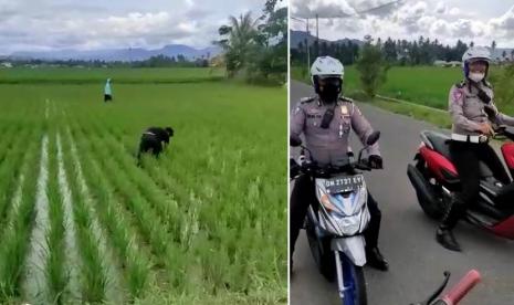 Video Viral: Ditangkap Polisi, 2 Pemuda Pura-Pura Garap Sawah