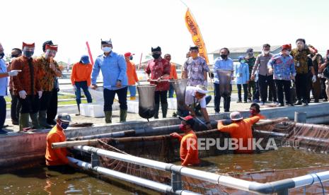 Menteri Kelautan dan Perikanan Edhy Prabowo (ketiga kiri) bersama Bupati Banyuwangi Abdullah Azwar Anas (keempat kiri) memanen sidat di tambak budidaya sidat di Bomo, Banyuwangi, Jawa Timur, Jumat (10/7/2020). Kunjungan kerja Menteri kelautan dan perikanan di Banyuwangi itu untuk meninjau proses pembesaran dan olahan sidat yang mampu diekspor ke 14 negara. 