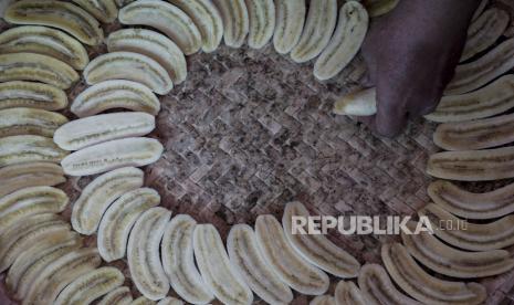 Pekerja menata buah pisang saat membuat makanan sale pisang di industri rumahan Bang Zae, Kabupaten Batang, Jawa Tengah, Rabu (20/10/2021). Menurut produsen sale pisang tersebut, dalam sebulan mereka mampu menghabiskan sekitar 50 kilogram pisang kapas dengan dijual Rp50 ribu per kilogram dan dipasarkan hingga ke Jakarta, Bekasi dan Surabaya.