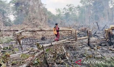 tabalong-terima-bantuan-rp10-miliar-dari-presiden-prabowo-untuk-tangani-karhutla