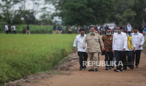 Presiden Joko Widodo (ketiga kanan) didampingi Menteri Pertahanan Prabowo Subianto (kedua kiri) Kepala Staf Kepresidenan Moeldoko (tengah), Menteri Pertanian Syahrul Yasin Limpo (kiri) dan Menteri PUPR Basuki Hadimuljono (kedua kanan) meninjau kesiapan lahan pertanian yang akan dijadikan pengembangan 'food estate'  di Kalimantan Tengah, Kamis (9/7/2020)