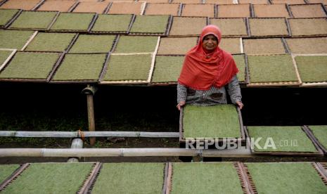 Petani mengeringkan tembakau di Kampung Tembakau, Tanjungsari, Kabupaten Sumedang, Jawa Barat. (ilustrasi)