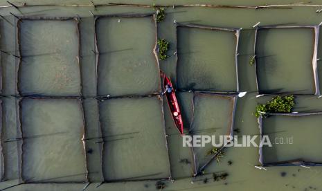 Crowdo dan eFishery mengumumkan kolaborasi untuk layanan digital Neobank kepada pembudidaya ikan di 23 provinsi di Indonesia. 