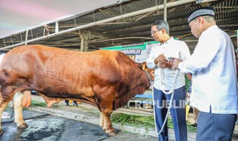 Pj Gubernur DKI Jakarta Heru Budi Hartono meninjau Rumah Pemotongan Hewan (RPH) milik Perumda Dharma Jaya, Cakung, Jakarta Timur, pada Jumat (14/6/2024).