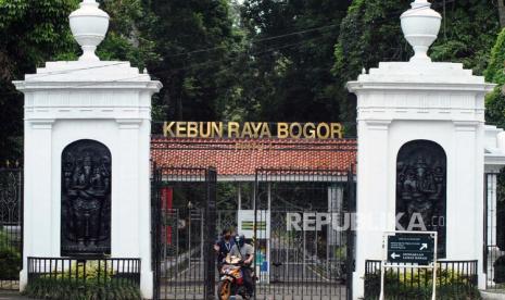 Rayakan Cap Go Meh 2024, Kebun Raya Bogor Hadirkan Showcase Barongsai dan Naga