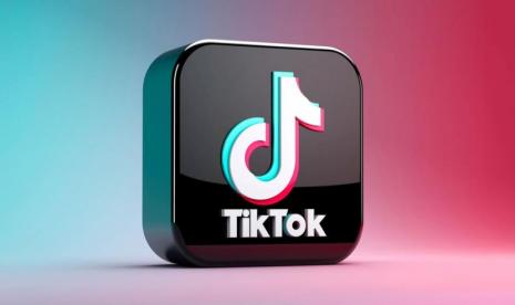 .SnapTik.App. SnapTik.App merupakan salah satu situs untuk mendownload video TikTok. Foto: IST