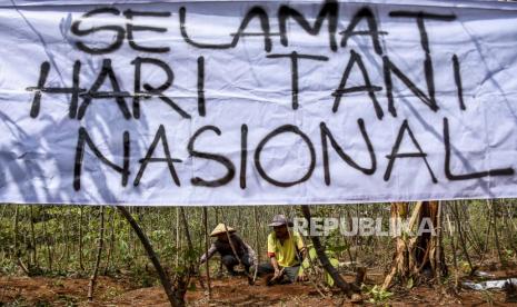 Sejumlah petani menggarap lahan singkong saat aksi simpatik Hari Tani Nasional di area lahan pertanian di Desa Pagerwangi, Lembang, Kabupaten Bandung Barat, Kamis (24/9). Dalam aksi yang digelar dalam rangka Hari Tani Nasional tersebut mereka menuntut kepada pemerintah untuk segera melaksanakan reforma agraria, menghentikan alih fungsi lahan, hentikan intimidasi serta kriminalisasi petani dan penyelesaian konflik masyarakat petani.