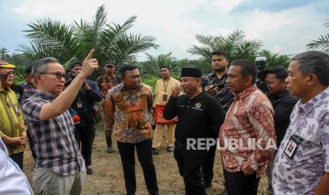 Ketua Dewan Komisioner Otoritas Jasa Keuangan (OJK) Mahendra Siregar (kiri) berdialog dengan kelompok petani kelapa sawit saat berkunjung ke Kebun Gapoktan Sawit di Kabupaten Kampar, Riau, Jumat (17/3/2023). OJK terus mendorong peningkatan pendanaan oleh Industri Jasa Keuangan (IJK) kepada kelompok petani khususnya perkebunan kelapa sawit dengan skema yang inovatif dan mudah sehingga dapat meningkatkan kualitas harga produk kelapa sawit yang dihasilkan. 