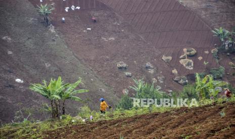 Sejumlah petani menggarap lahan pertanian di lereng perbukitan di kawasan Cimenyan, Kabupaten Bandung, Selasa (11/10/2022). Berdasarkan data Dinas Kehutanan Jawa Barat, pada 2021 lahan kritis di Kawasan Bandung Utara (KBU) mencapai 19 ribu hektare dari total luas lahan yang mencapai 42.315 hektare. Sementara itu, total lahan kritis di Kabupaten Bandung Barat dan Kawasan Bandung Utara mencapai sekitar 77 ribu hektare. 