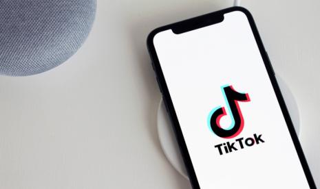 SnapTik.App. SnapTik.App merupakan salah satu situs untuk mendownload video TikTok. Foto: IST