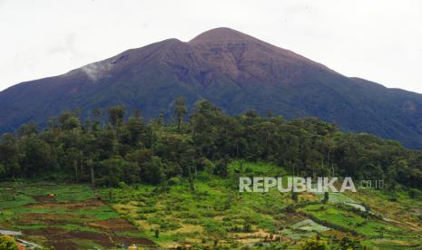 Taman Nasional Kerinci Seblat (TNKS) 