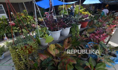 Pedagang tanaman hias menunggu pembeli (ilustrasi). Dinas Pertanian dan Perikanan Kota Medan, Sumatra Utara, akan menggelar pekan bursa pameran tanaman hias Kota Medan selama 15 hari mulai 9 sampai 23 Agustus mendatang.