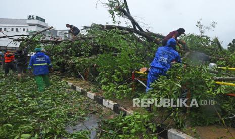 Petugas Dinas Lingkungan Hidup memotong batang pohon tumbang yang menutup badan jalan di Kaujon, Kota Serang, Banten, Selasa (1/3/2022). Hujan deras disertai angin kencang mengakibatkan sejumlah pohon tumbang, longsor serta banjir di sejumlah titik di Serang dan sekitarnya. BPBD Lebak Minta Warga Waspada Angin Kencang