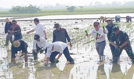 Menteri Pertanian (Mentan) Amran Sulaiman bersama jajaran dan petani menanam padi di area persawahan di Desa Gajah Mekar, Kecamatan Kutawaringin, Kabupaten Bandung, Rabu (6/12/2023) pagi. 