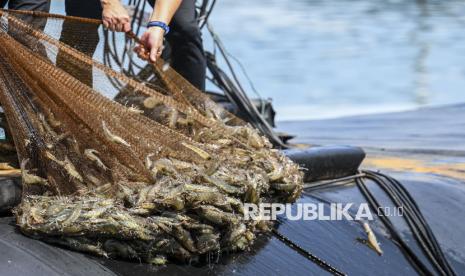 Ubah 7 Hektare LP2B Jadi Tambak Udang, Pengusaha d