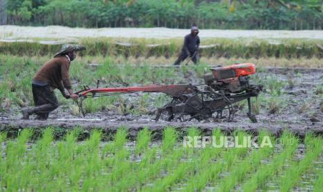 Petani membajak sawah menggunakan traktor untuk mengawali musim tanam padi yang baru setelah panen kemarin, di kawasan Soekarno Hatta, Kota Bandung, Senin (15/3). Banyak petani berharap pemerintah mengkaji ulang atau mempertimbangkan rencana impor beras di awal tahun ini, dikhawatirkan akan membuat harga gabah ditingkat petani anjlok.