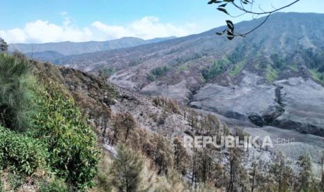 Kondisi terkini area bekas kebakaran di kawasan Gunung Bromo, Rabu (13/9/2023). 