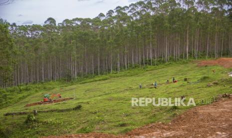 Tenaga Ahli Utama Kantor Staf Presiden Wandy Tuturoong mengatakan, pemindahan Ibu Kota Negara (IKN) dari Jakarta ke Kalimantan Timur merupakan upaya Indonesia menjawab tantangan global yang nyata, yakni pemanasan global. (Foto: Titik nol kawasan Ibu Kota Negara (IKN) Nusantara)