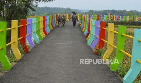 Petani mengembala kerbau melintasi jembatan pelangi di Desa Wanasigra, Kecamatan Sindangkasih, Kabupaten Ciamis, Jawa Barat, Senin (15/3/2021). Penyerapan anggaran Dana Desa di Kementerian Desa, Pembangunan Daerah Tertinggal, dan Transmigrasi (Kemendes PDTT) secara nasional hingga 8 Maret 2021 tersalurkan ke 23.096 desa dengan nilai Rp5,34 triliun, dari pagu anggaran Dana Desa untuk tahun anggaran 2021 sebesar Rp72 triliun. 