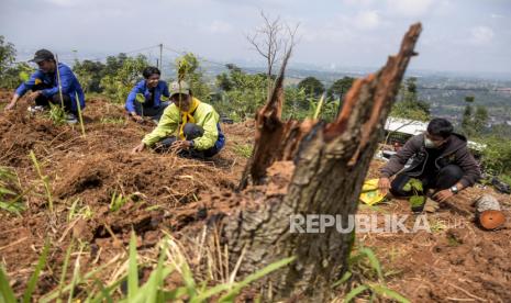 Sejumlah anggota pecinta alam Hiawatha Unwim menanam bibit pohon di salah satu area lahan kritis di Cimenyan, Kabupaten Bandung, Jumat (10/12). Pemerintah Provinsi Jawa Barat melalui Dinas Kehutanan Jawa Barat mencatat, hingga 30 November 2021 telah menanam sebanyak 52.323.245 bibit pohon di lahan kritis se-Jawa Barat. Hal tersebut telah melampaui target penanaman 50 juta bibit pohon hingga akhir tahun. Foto: Republika/Abdan Syakura