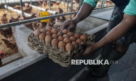Harga Pangan Hari Ini: Telur Ayam Tembus Rp32.300 per Kg, Cabai Rawit Merah Nyaris Rp72 Ribu