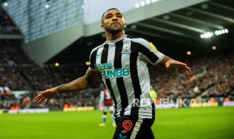 Striker Newcastle United dan timnas Inggris, Callum Wilson.