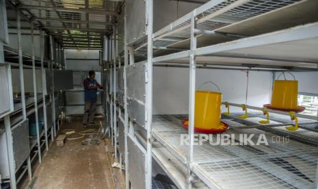 Pekerja menyelesaikan pembangunan peternakan ayam milenial atau apartemen ayam 4.0 di Desa Cibodas, Kabupaten Bandung, Jawa Barat, Selasa (9/3/2021). Apartemen ayam 4.0 tersebut merupakan inovasi yang direncanakan untuk menampung ternak sekitar 5000 ayam potong yang dikelola dengan sistem berbasis teknologi digital oleh generasi muda sebagai penerapan program Petani Milenial Pemprov Jabar. 