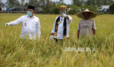 Menteri Pertanian, Syahrul Yasin Limpo (tengah) bersama  Bupati Aceh Besar, Mawardi Ali (kiri) dan petani menyaksikan tanaman padi siap panen sebelum melakukan panen raya di Desa Tumbo Baro, Kecamatan Kuta Malaka, Kabupaten Aceh Besar, Aceh, Rabu (30/9/2020). Menteri Pertanian, Syahrul Yasin Limpo menyatakan pemerintah mendorong Aceh terus bersinergi bersama  TNI dan Polri fokus pada pembangunan sektor pertanian, mengingat di tengah pandemi COVID-19 perekonomian sektor pertanian mampu tumbuh sekitar 16 persen. 