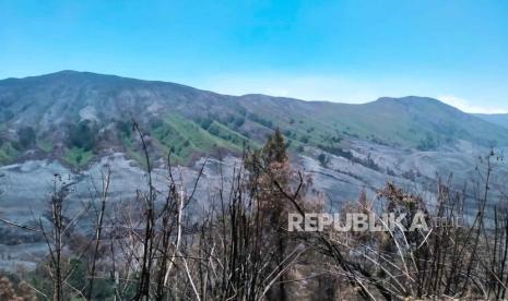 Kondisi kawasan wisata Gunung Bromo setelah mengalami kebakaran.