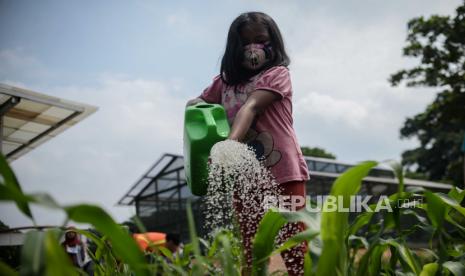 Anak-anak melakukan praktik berkebun di area edukasi pengolahan sampah Padepokan Restu Bumi, Ciracas, Jakarta, Sabtu (21/11). Dinas Lingkungan Hidup dan Kehutanan (LHK) Jakarta Timur mengadakan program edukasi urban farming seperti penanaman padi, budidaya maggot, berkebun dan berternak. Kegiatan itu juga memperingati Hari Pohon Sedunia yang jatuh tiap tanggal 21 November. Republika/Thoudy Badai