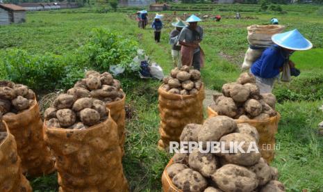 Sekilas Sejarah Pangan di Indonesia: Dari Beras, Terigu, Hingga Pati Umbi