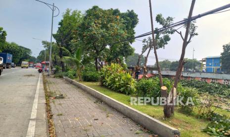 Suasana di kawasan RTH Tubagus Angke, Jakarta Barat, Jumat (3/5/2024) siang. Anggota DPR minta Pemprov DKI menangani prostitusi di RTH Angke yang ditemukan kondom