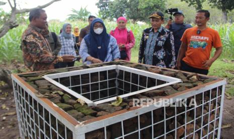 Kepala Disdikbud Jombang, Senen (kiri) melihat sumur tua di lokasi temuan benda diduga peninggalan sejarah saat ekskavasi di Desa Miagan, Kecamatan Mojoagung, Kabupaten Jombang, Jawa Timur, Selasa (31/1/2023). Ekskavasi mandiri dengan didampingi tim dari Disdikbud Jombang serta BPCB itu dilakukan selama dua hari, nantinya jika ada temuan maka akan dilanjutkan dengan anggaran dari Pemerintah setempat. 